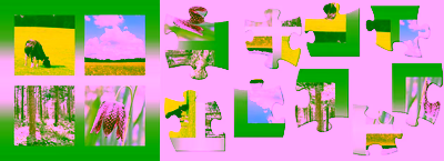 The puzzle of natural resource management