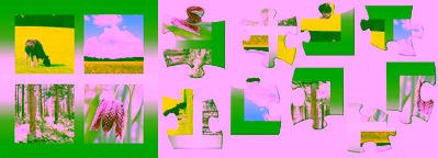 The puzzle of natural resource management