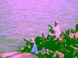Fishing in Lake Victoria